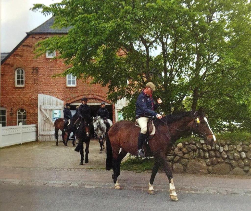 Willkommen beim Reitstall Lorenz Hoffmann - Der Reitstall für Ihr ...